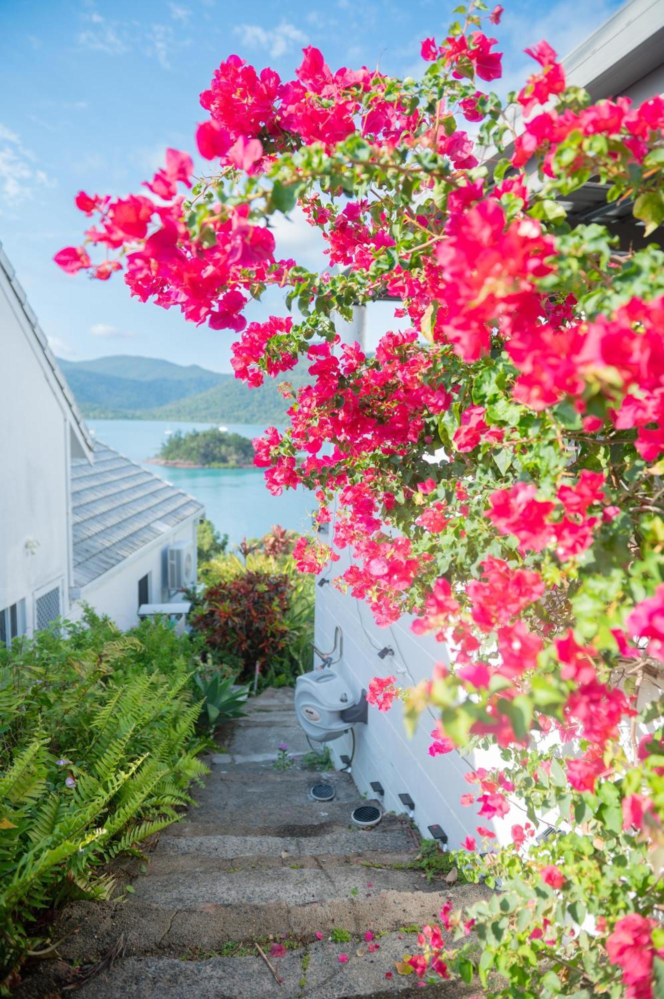 The Haven View - Airlie Beach Extérieur photo