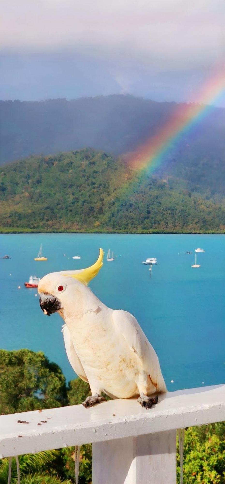 The Haven View - Airlie Beach Extérieur photo